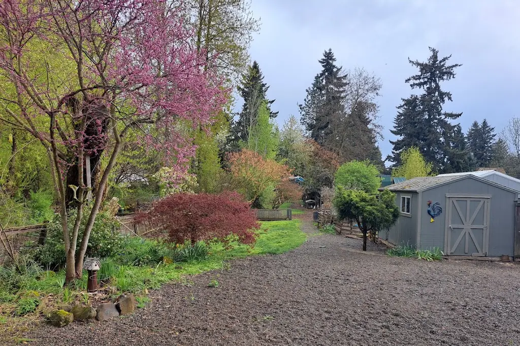 Petlandia Pet Care in Portland
