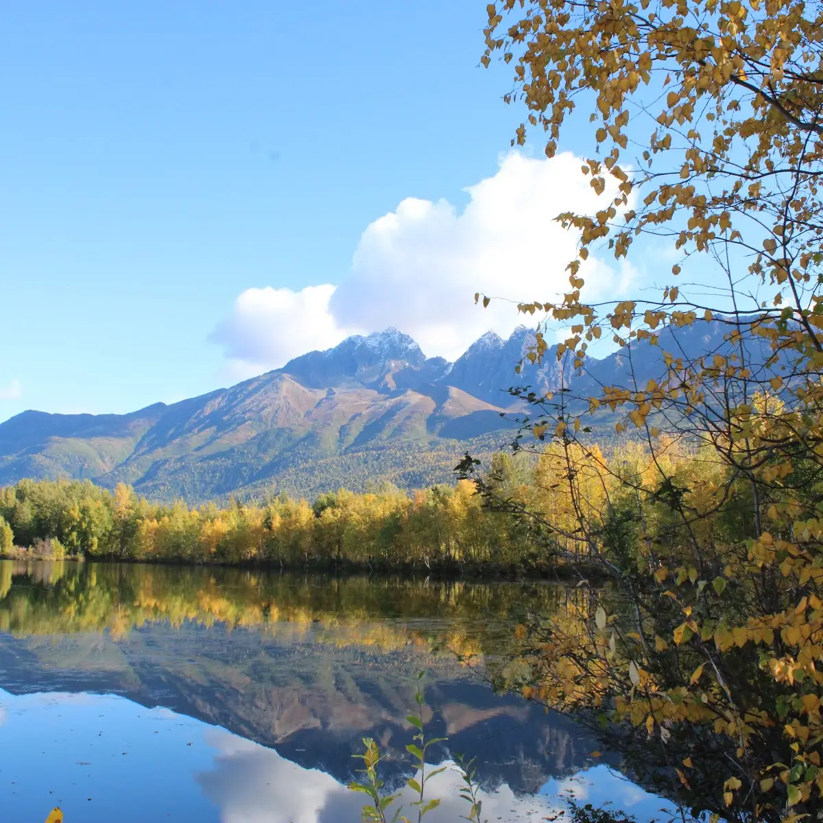 Alaska Terminals, Inc. in Anchorage