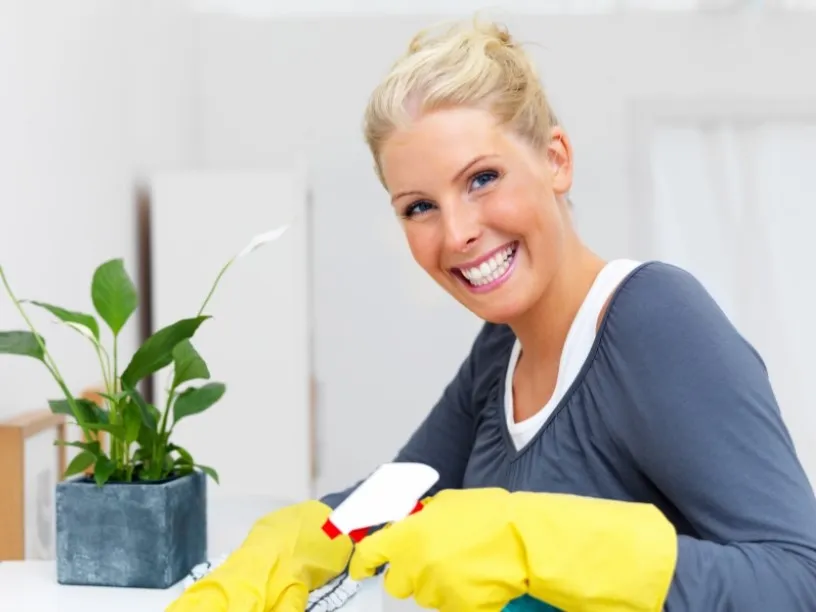 The Housekeepers Inc in Huntsville