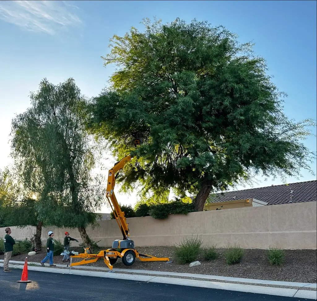 Transformed Trees & Landscaping LLC in Tucson