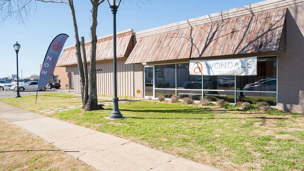 Avondale Animal Hospital in Birmingham