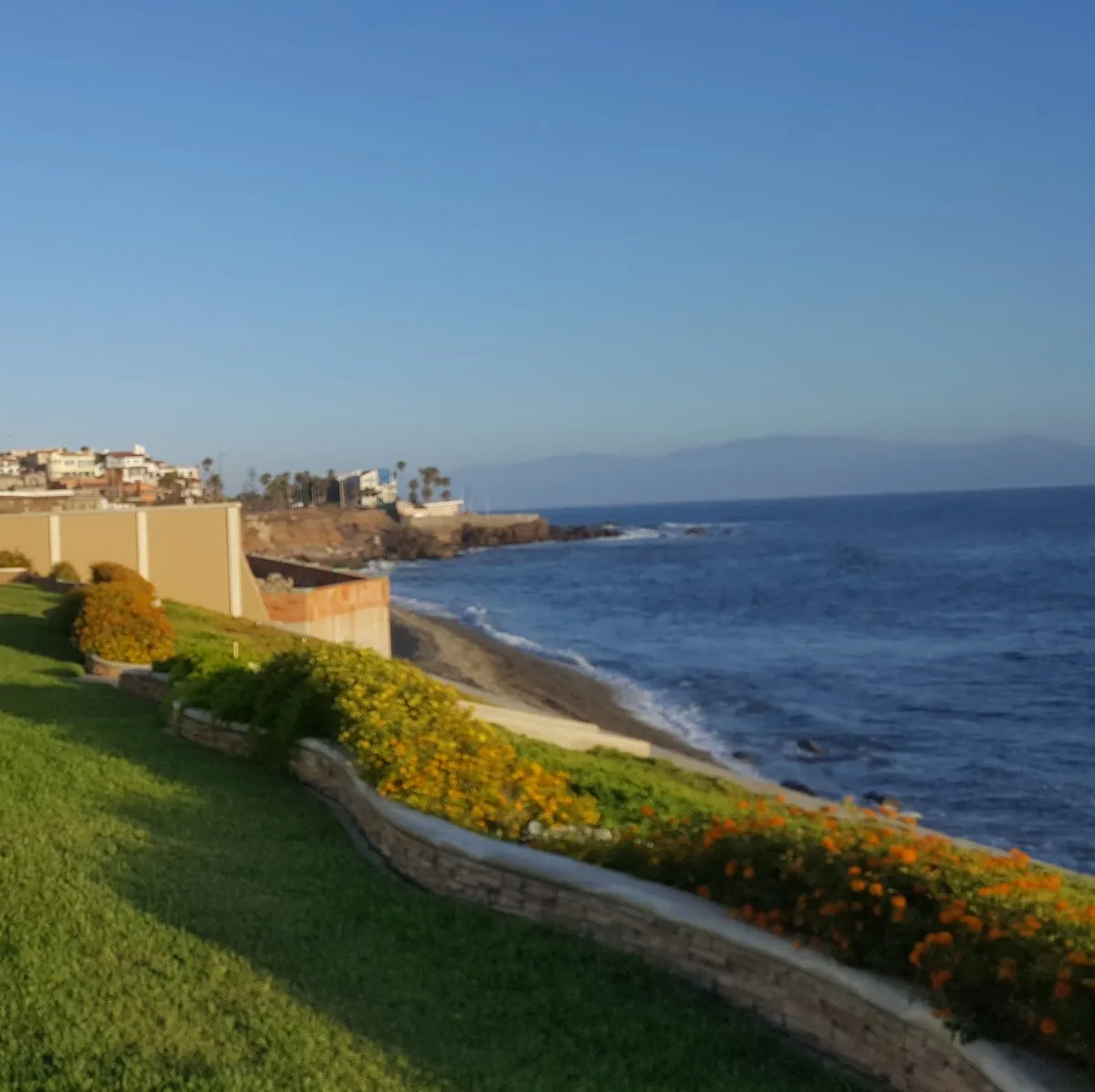SDC Tax & Business Services in San Diego