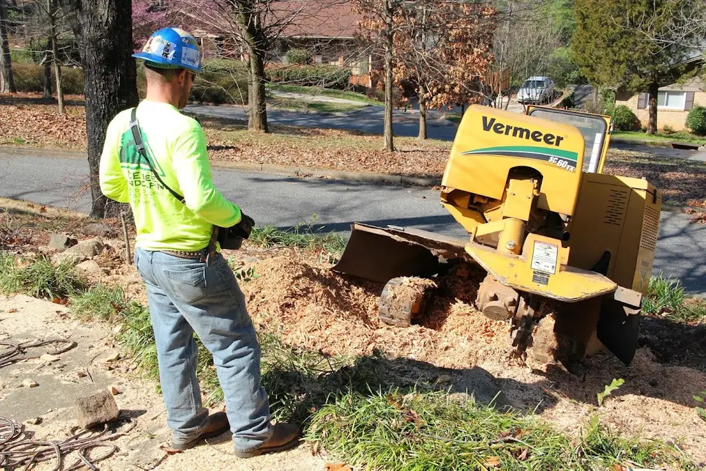 ACE Tree Service in Birmingham