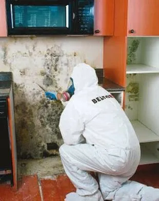 BELFOR Property Restoration in Birmingham