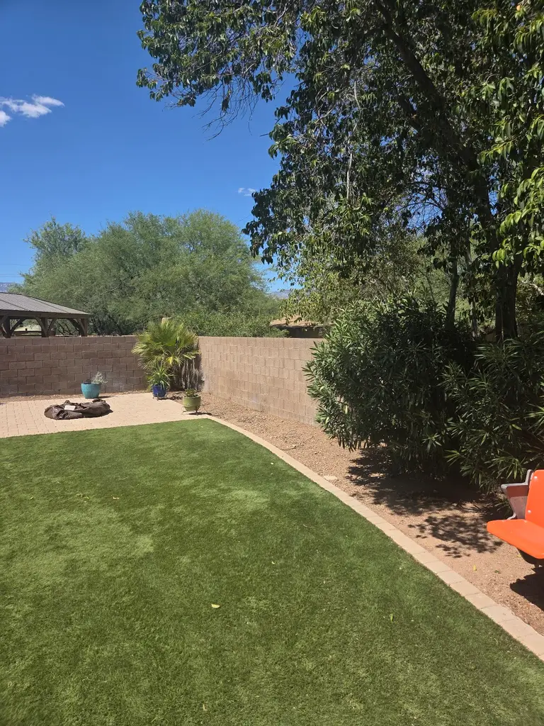 Joe's Yard, Tree, & Irrigation in Tucson