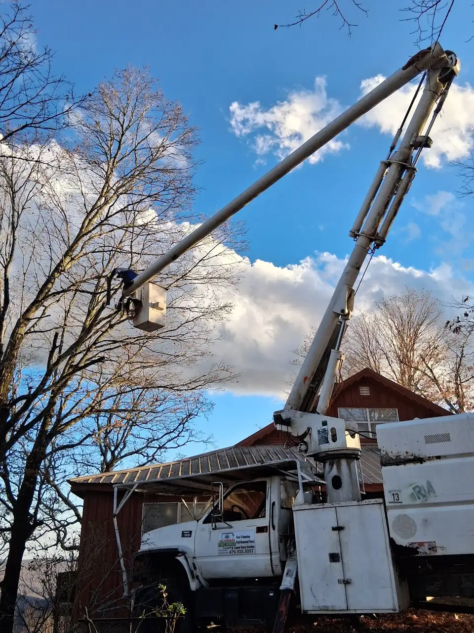Razorback Tree Service in Fayetteville