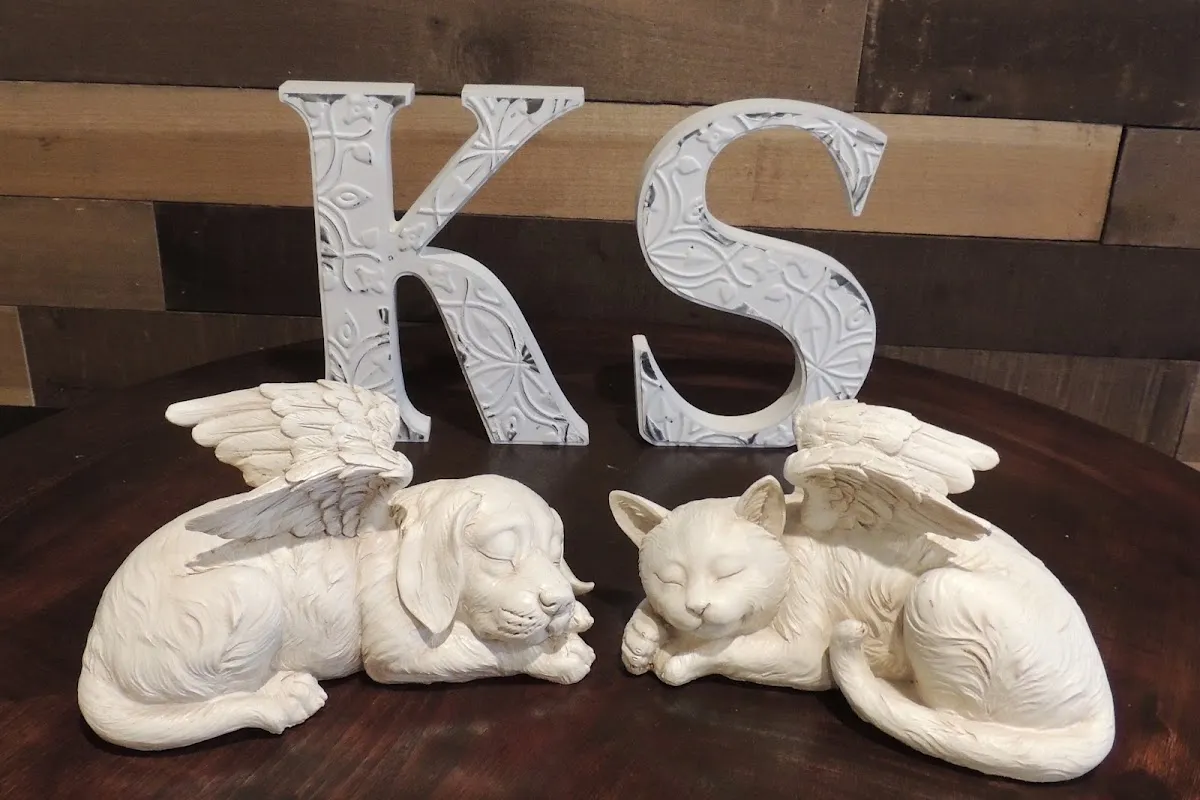 Kindred Spirits Pet Services in Tucson