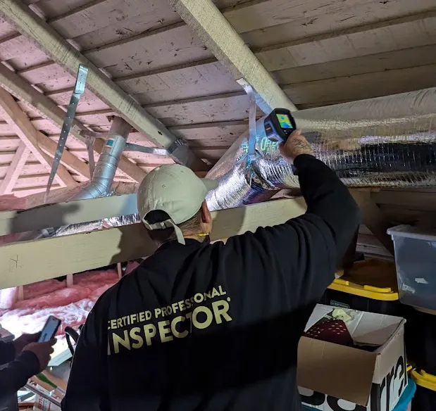 Fast Mold Testing - Sacramento in Sacramento