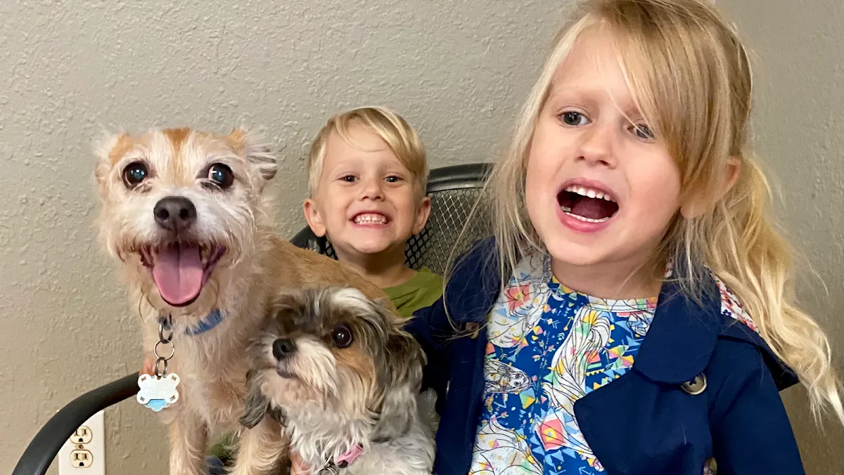 A Happy Dog Day Camp and Boarding in Anchorage