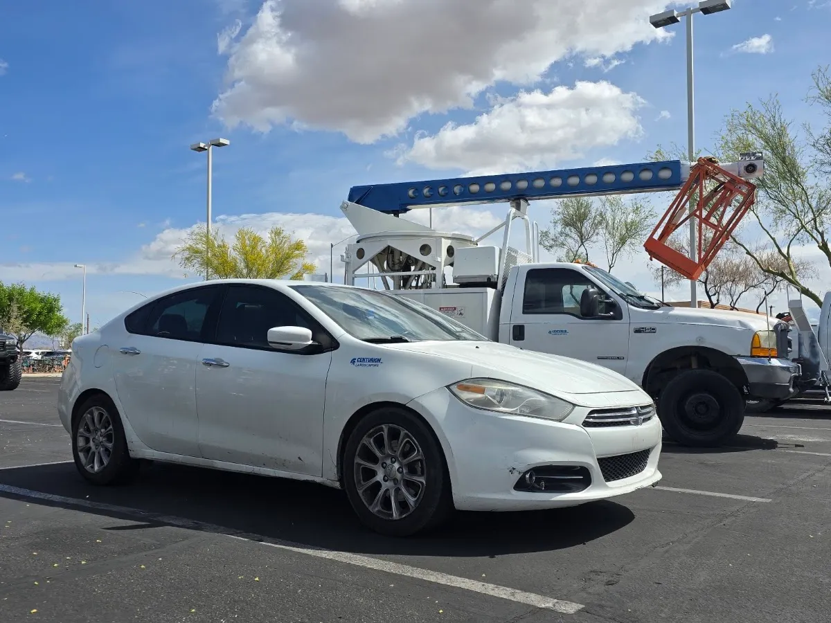 Tree trimming and removals - yard clean up | Centurion Landscaping in Tucson