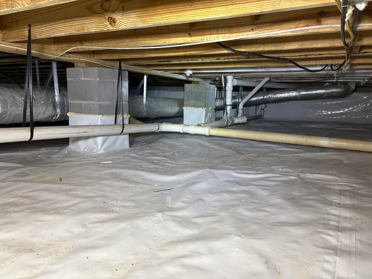 Alabama Mold And Water, LLC in Birmingham