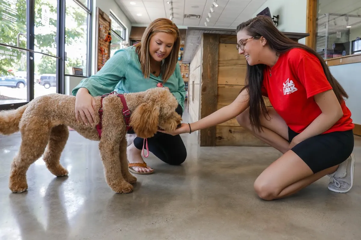 The Ark Pet Spa & Hotel - Huntsville in Huntsville
