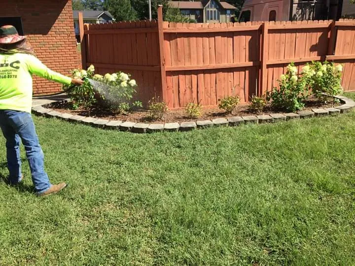 ABC Tree & Landscaping Services in Birmingham