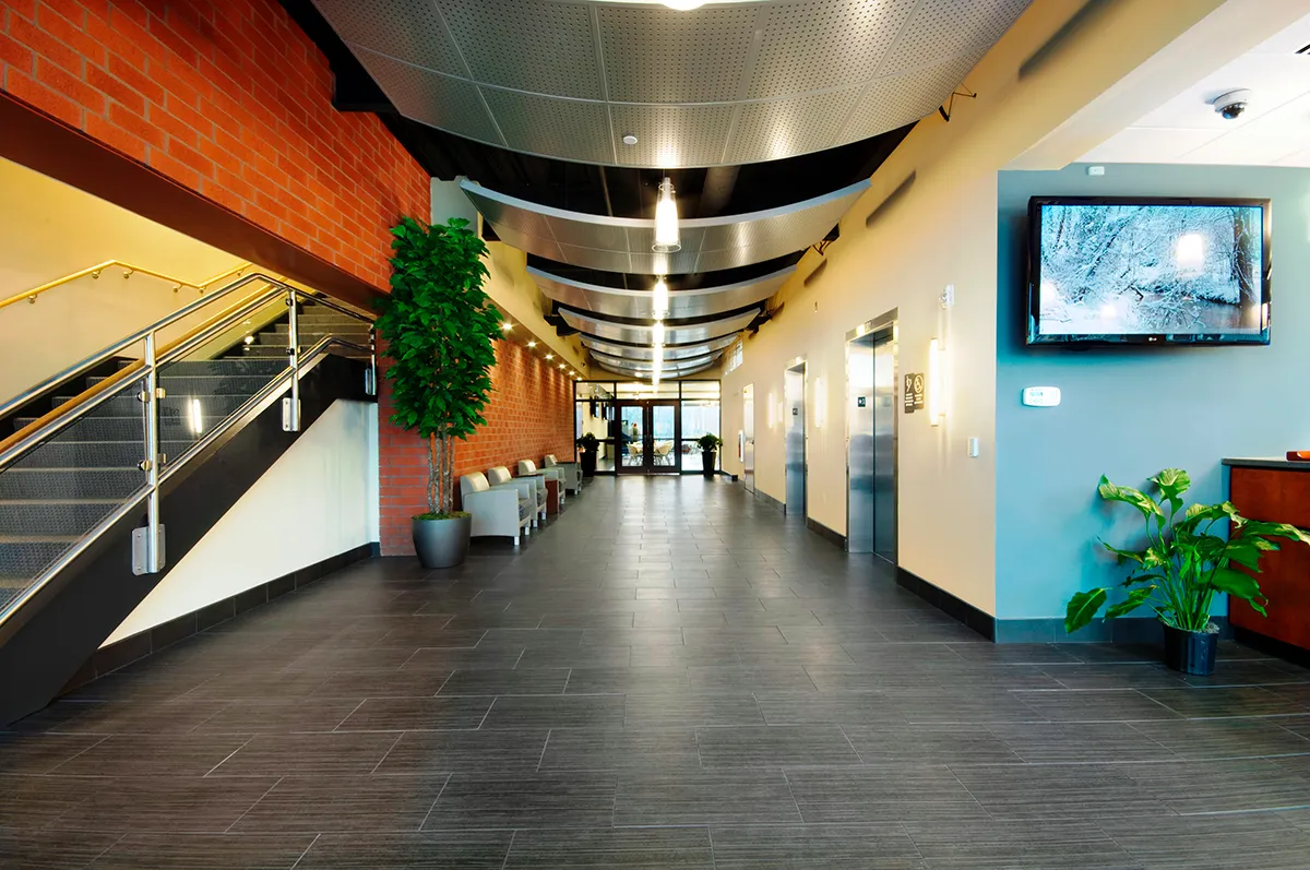A Plus Insurance in Denver