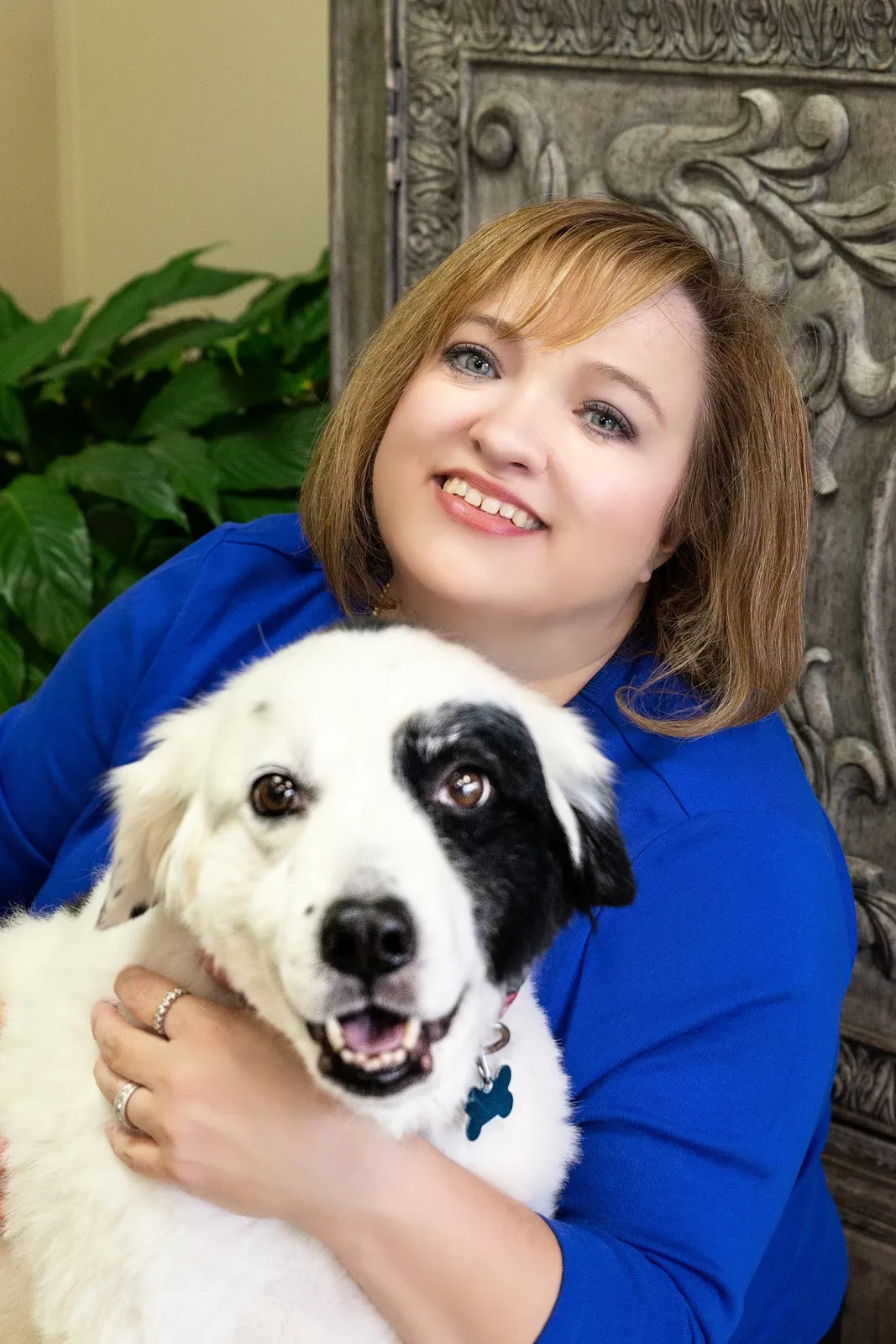 Faulkenberry Chiropractic in Little Rock