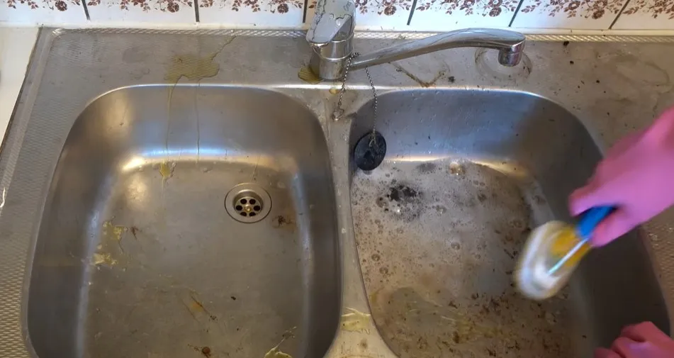 Certified Mold & Water Damage Restoration Of Tampa in Tampa