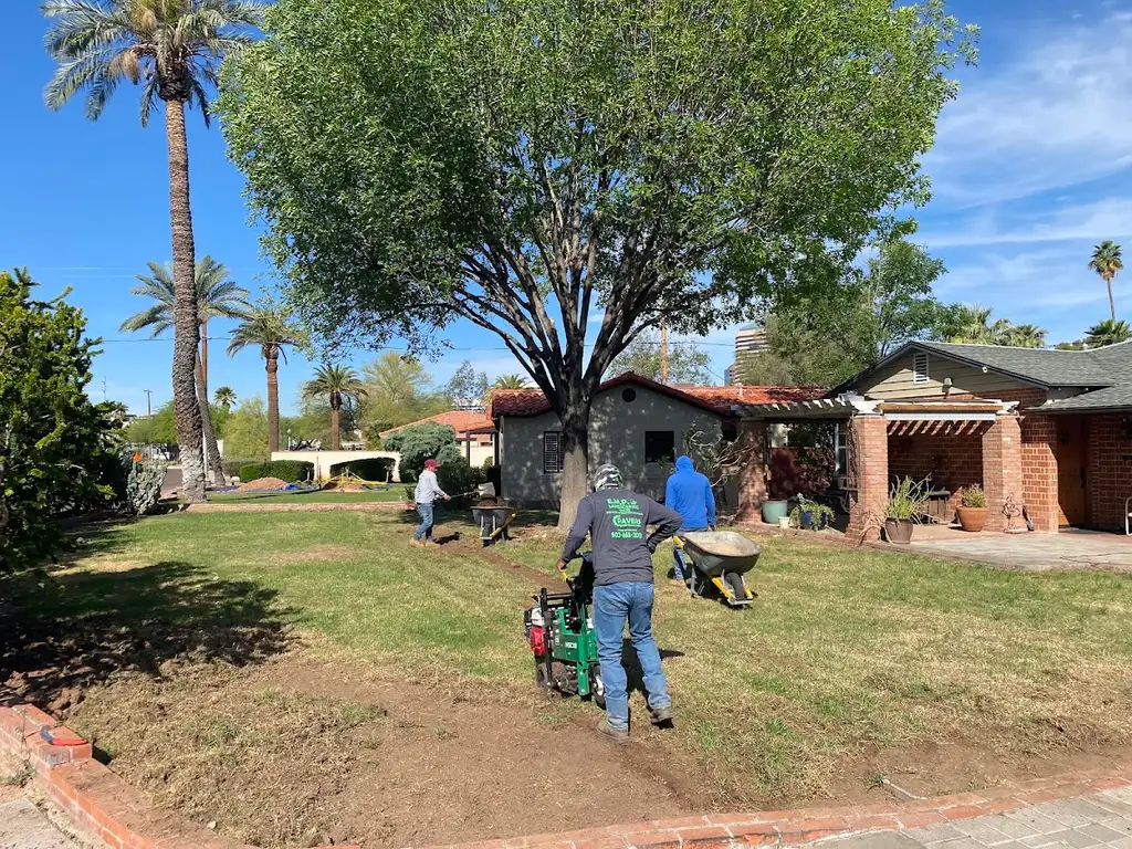 Trett Landscaping | Phoenix Tree Stump Removal in Phoenix