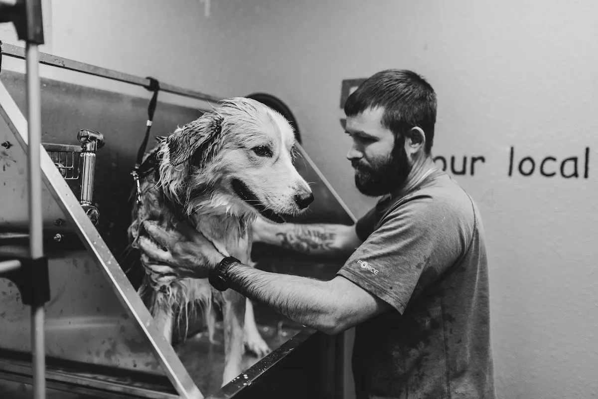 Northern Tails Grooming LLC in Fairbanks