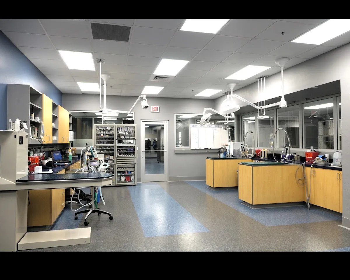 Veterinary Specialty Center Tucson in Tucson