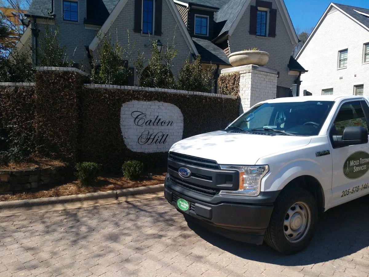 Mold Testing Services in Birmingham