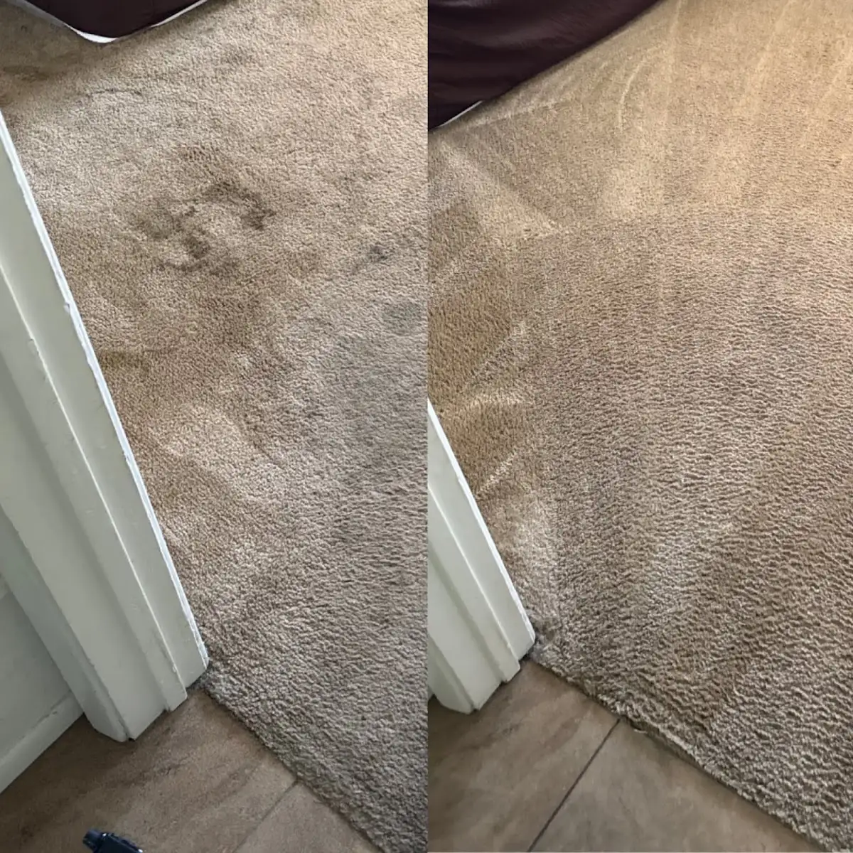 Steam Smart Pro Carpet Duct & Tile Cleaning in Tucson