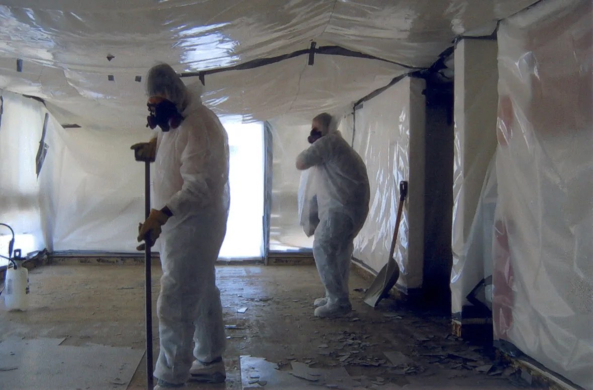 Asbestos Removal Los Angeles in Los Angeles