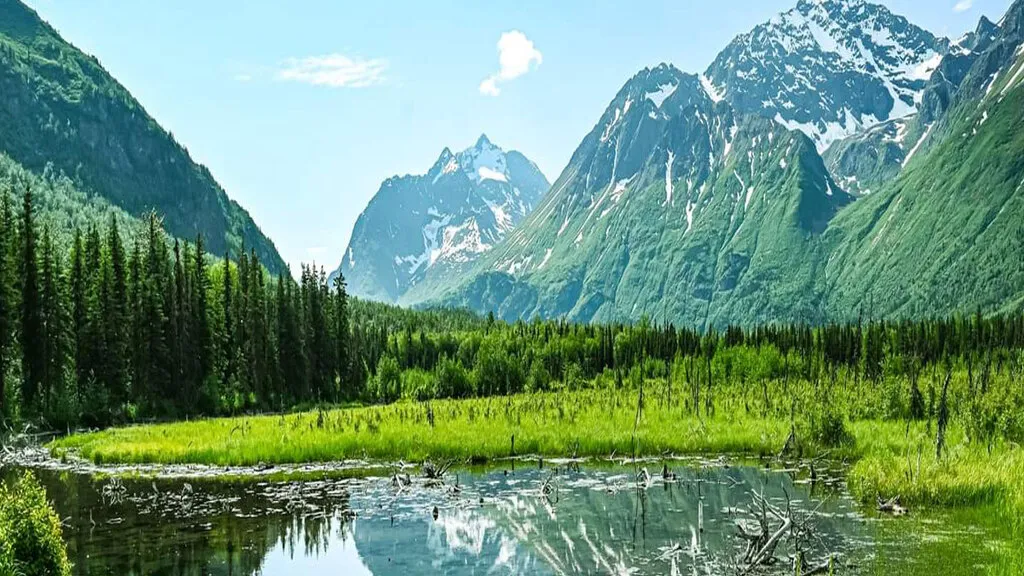 Alaska Urgent Care LLC in Anchorage