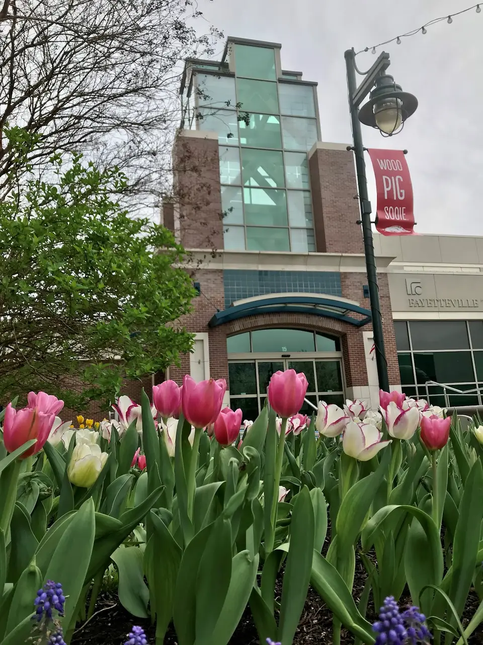 Fayetteville Town Center in Fayetteville