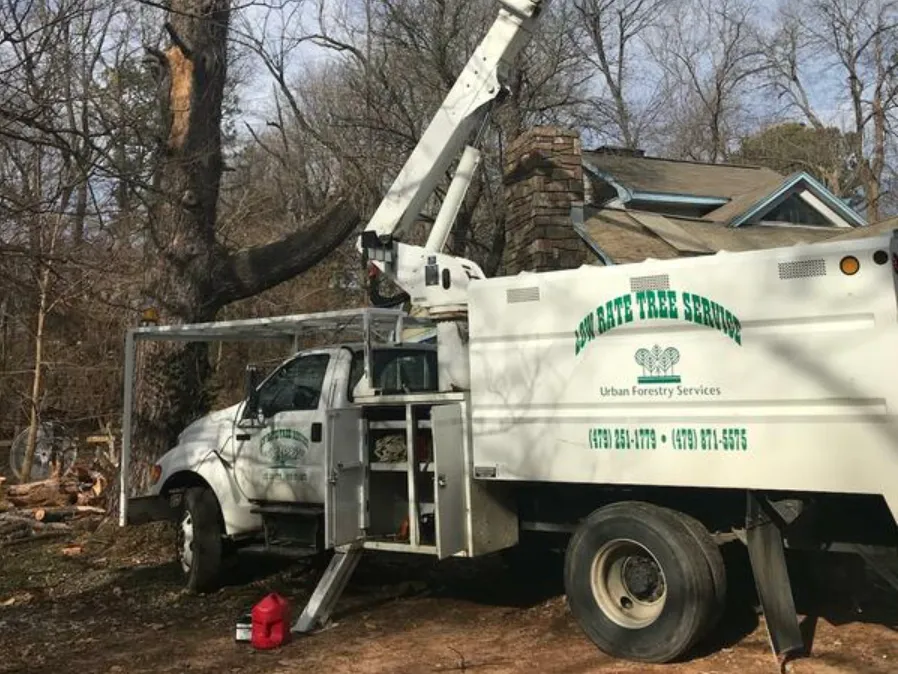 Low Rate Tree Service in Fayetteville