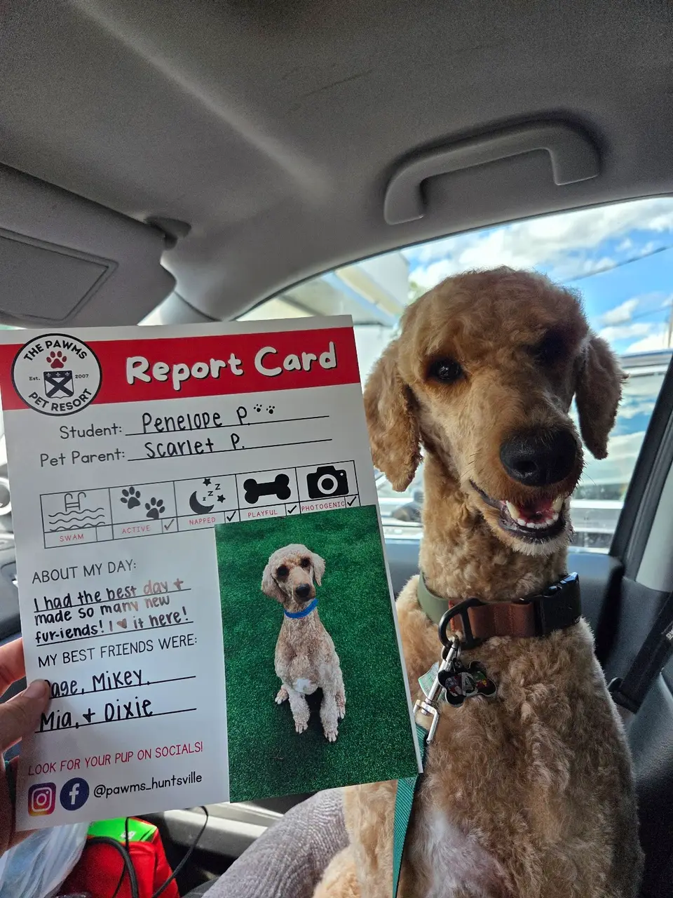 The Pawms Pet Resort - Huntsville in Huntsville