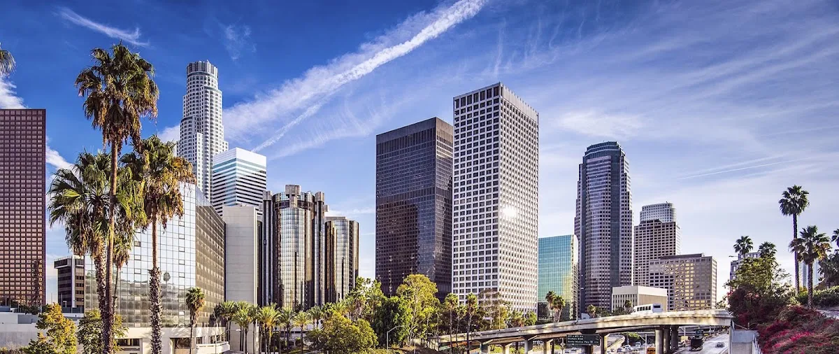 SEO Los Angeles 24 in Los Angeles