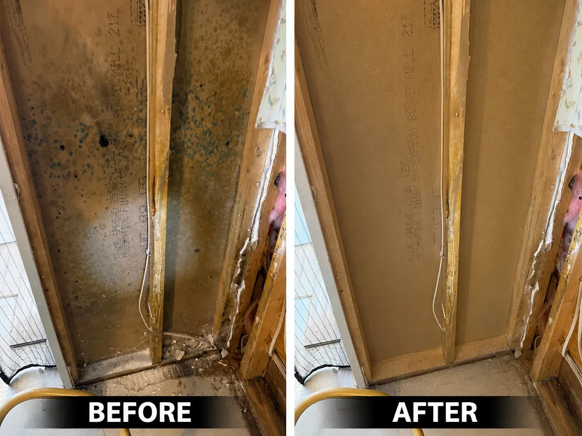Elevate Pro Restoration in Los Angeles