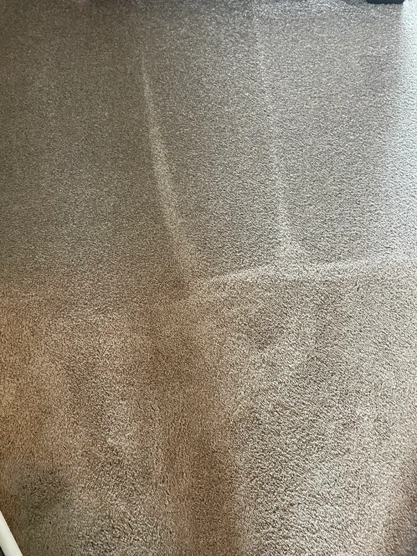 Level 8 Steam Cleaning & Restoration in Fargo