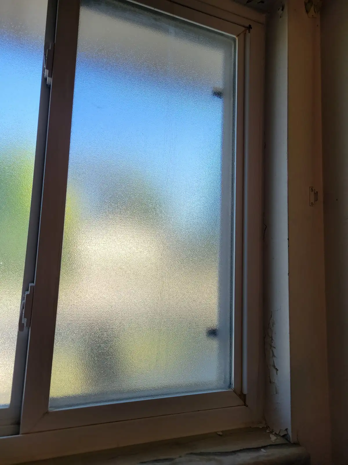 American Water Damage of Denver in Denver