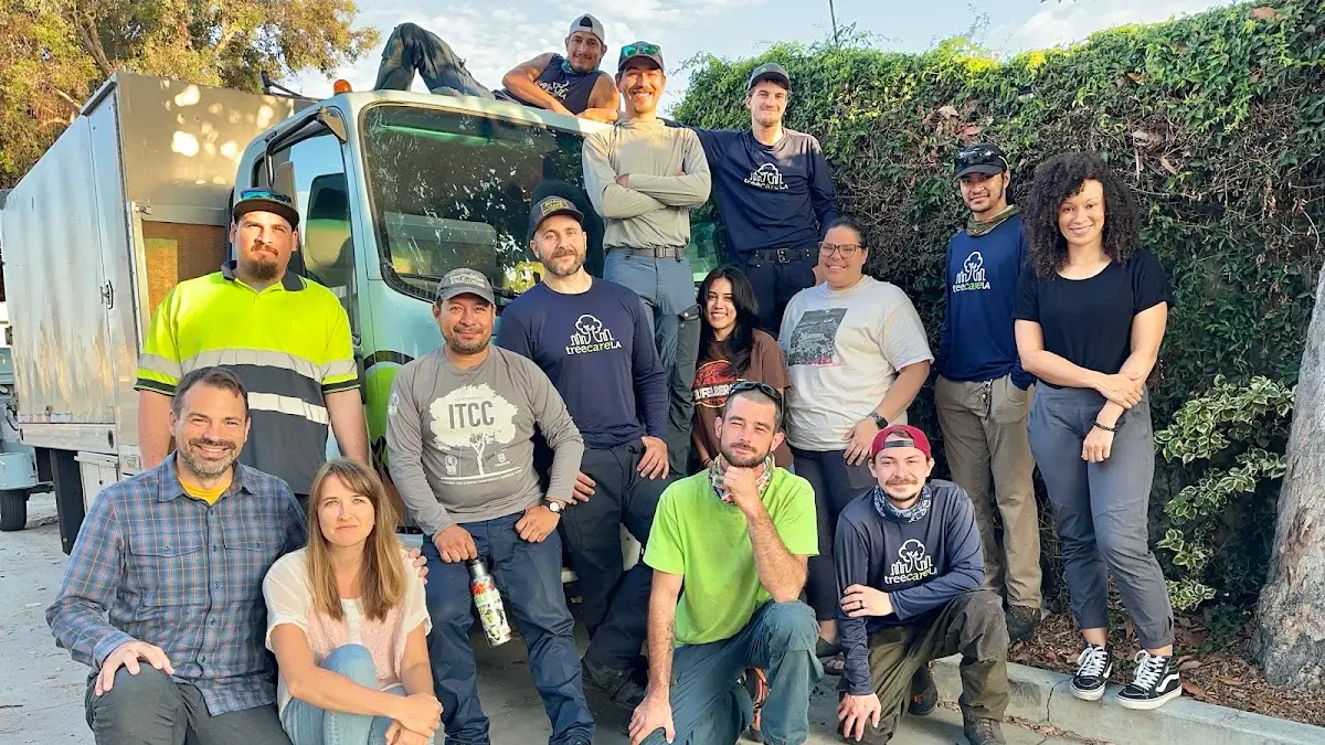 TreeCareLA in Los Angeles