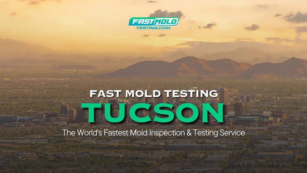 Fast Mold Testing - Tucson in Tucson