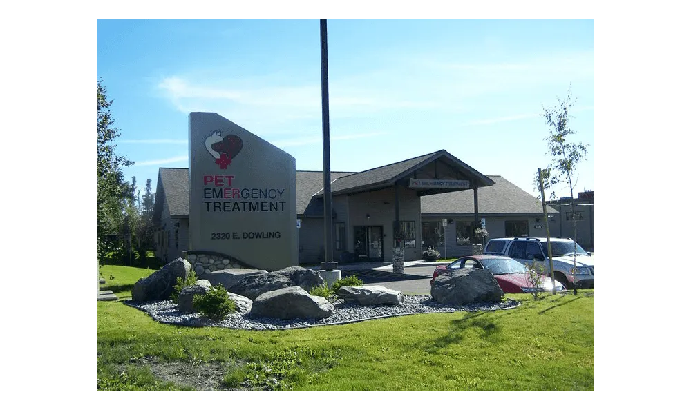 PET Emergency Treatment in Anchorage