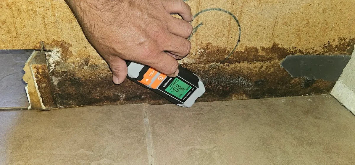 Mold Inspection Service in Sacramento
