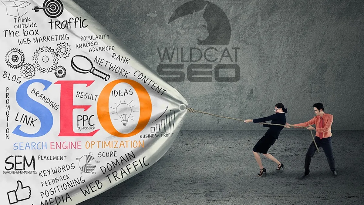 Wildcat SEO in Tucson