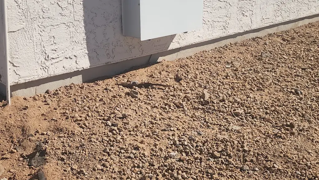 Arizona Foundation Solutions LLC in Phoenix