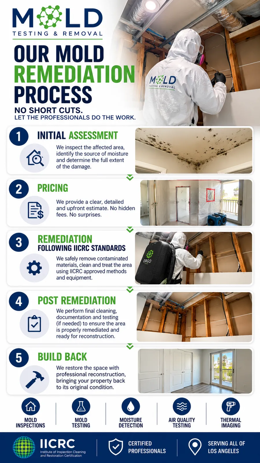 Mold Testing & Removal Services in Los Angeles