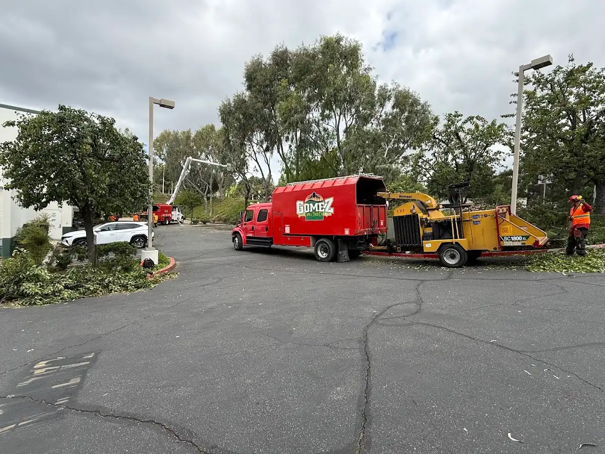 Gomez Landscape & Tree Care, Inc. in Los Angeles