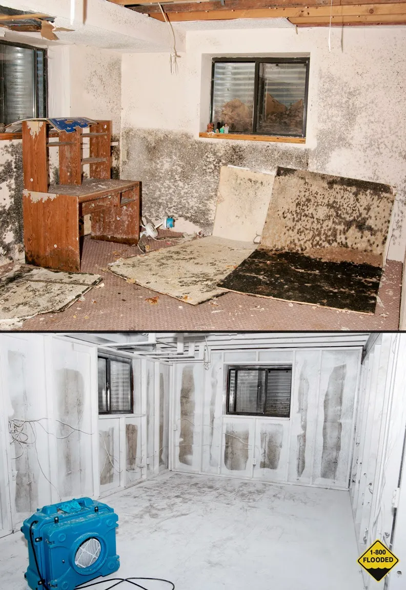 CMS Restoration in Colorado Springs