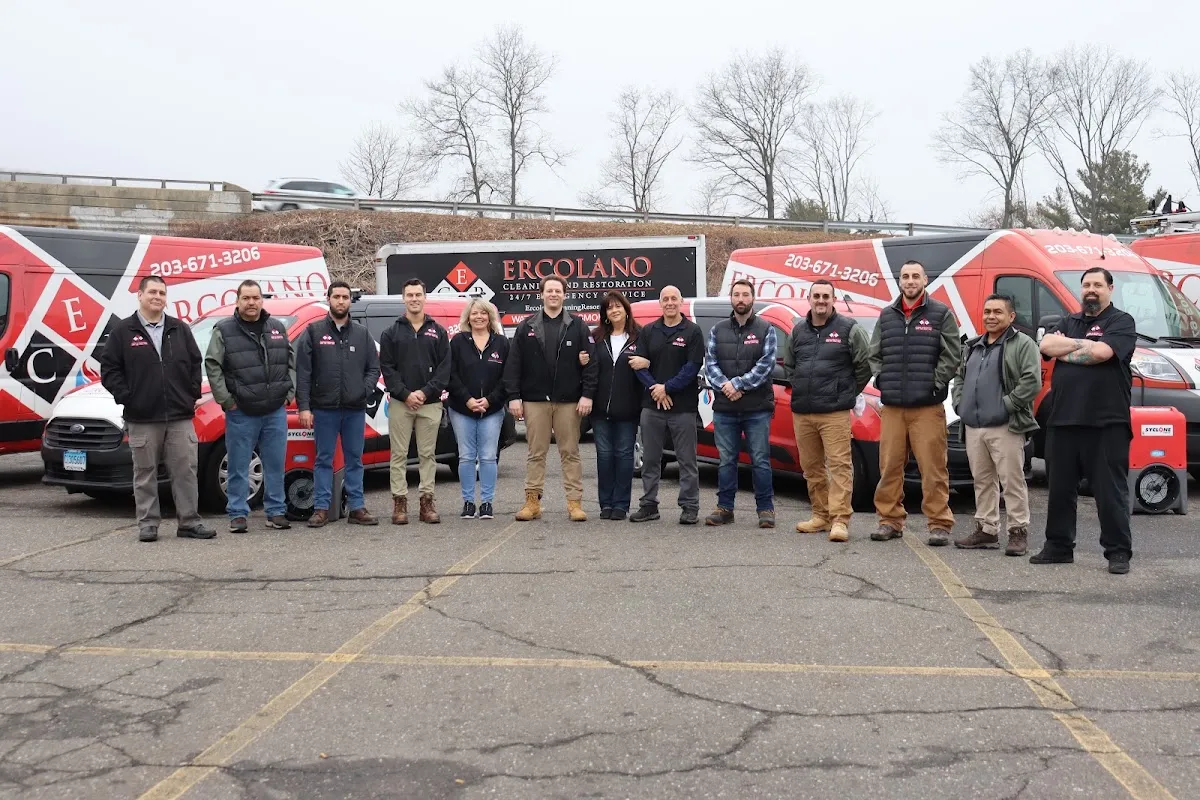 Ercolano Cleaning & Restoration in New Haven