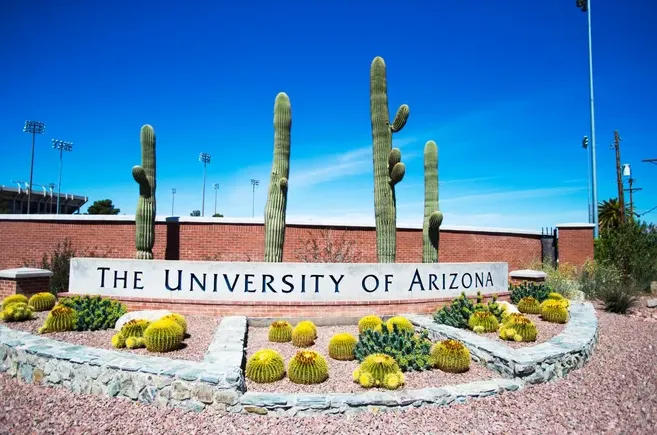 WOW Real Estate in Tucson