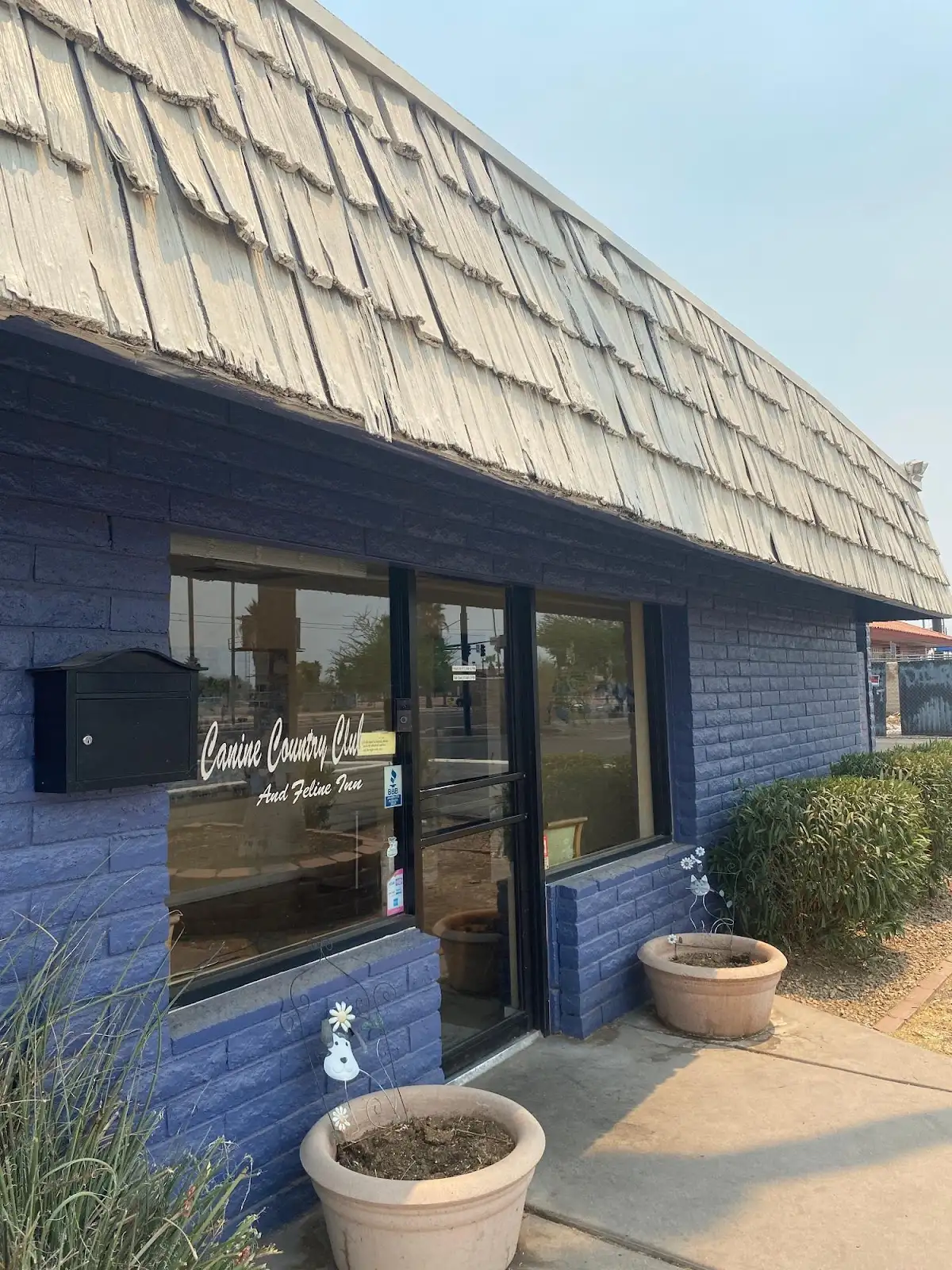 Canine Country Club & Feline Inn in Phoenix