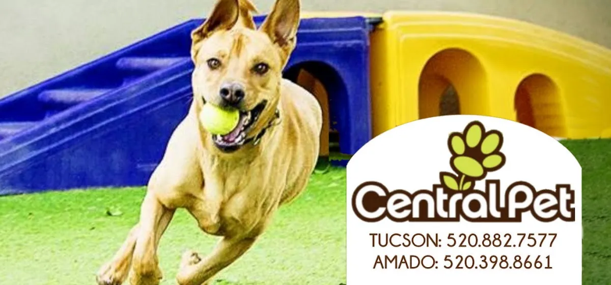 Central Pet Tucson in Tucson