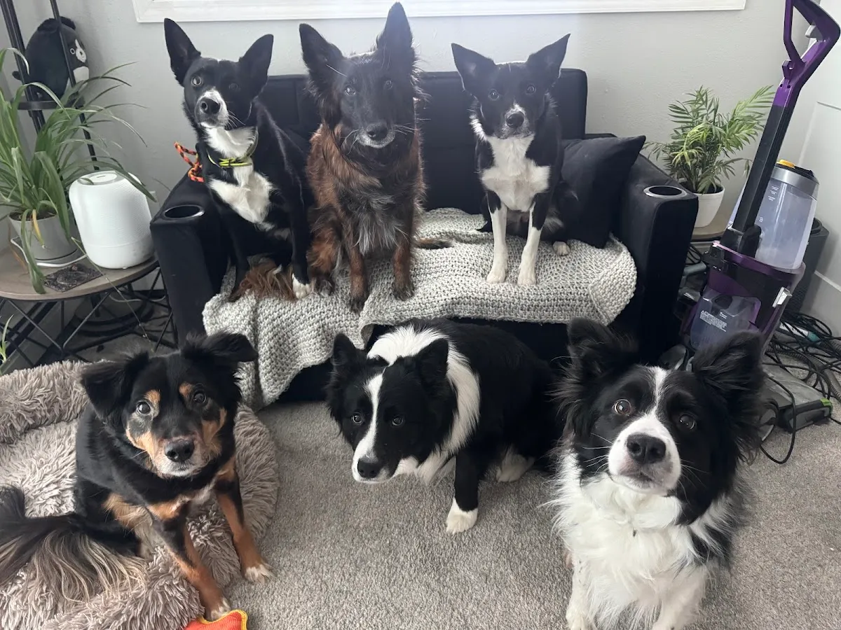 Happy Tails Grooming Salon in Fairbanks