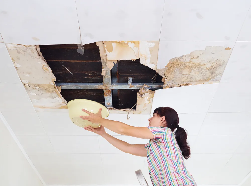 Phoenix Water Damage Repair in Phoenix