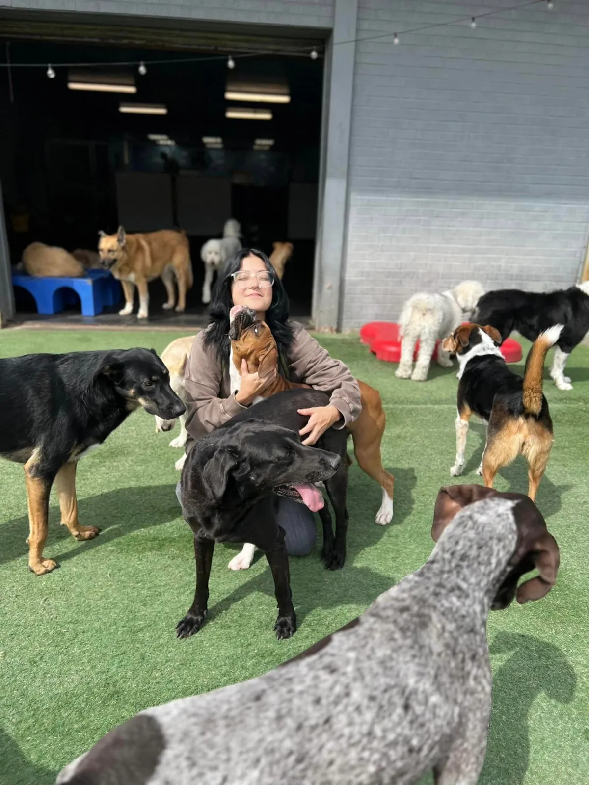 Learning Paws 24/7 in Phoenix